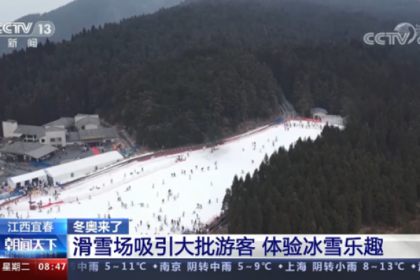 央视报道：江西宜春滑雪场吸引大批游客体验冰雪乐趣